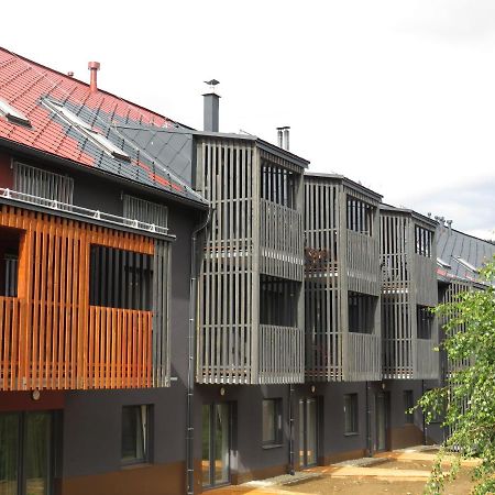 Apartman Honey Dolní Morava Eksteriør billede