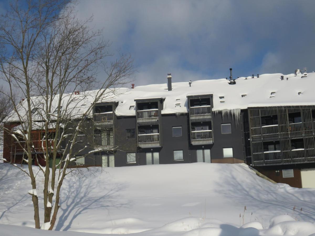 Apartman Honey Dolní Morava Eksteriør billede