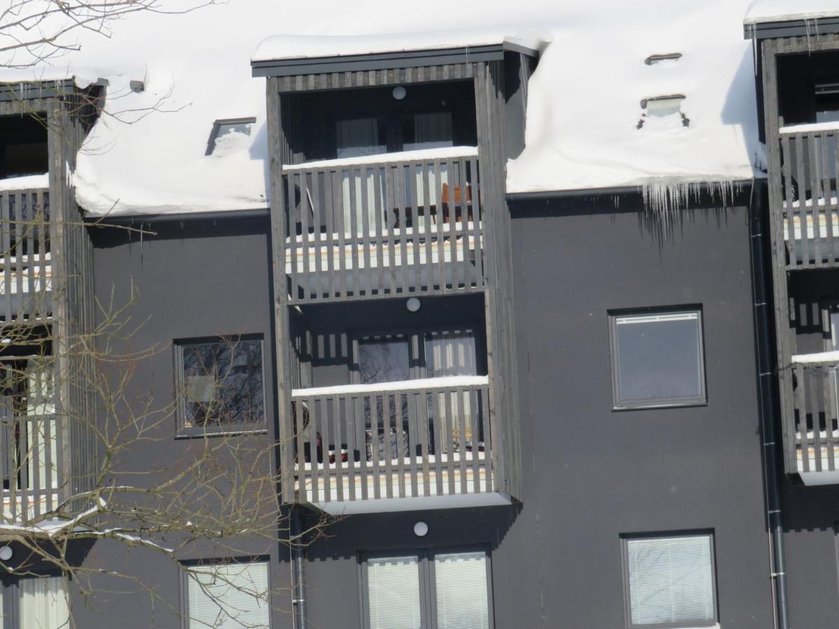 Apartman Honey Dolní Morava Eksteriør billede